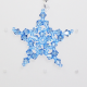 Star - Earrings Delphinus - 2